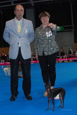 Of tall and small - CHAMPIONNAT DE FRANCE 2012