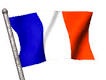 IRRESISTIBLE STAR OF TALL AND SMALL CHAMPIONNE DE FRANCE
