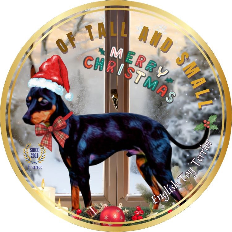 1 femelle et 1 mâle prêts à rejoindre leur nouveau foyer aimant